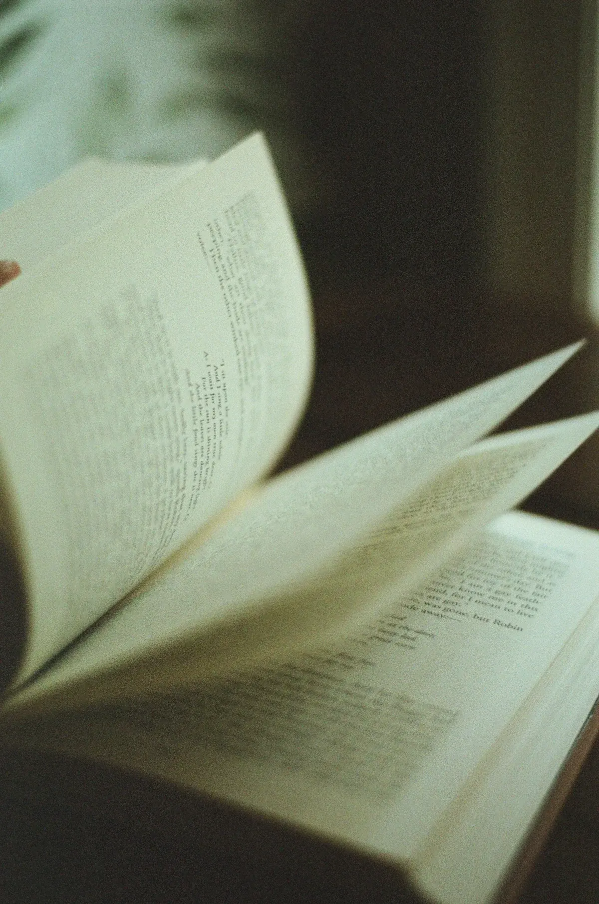 Open book with softly turning pages